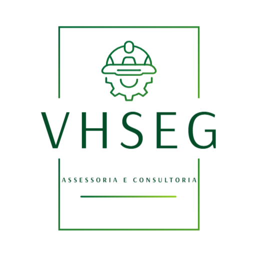 VHSEG